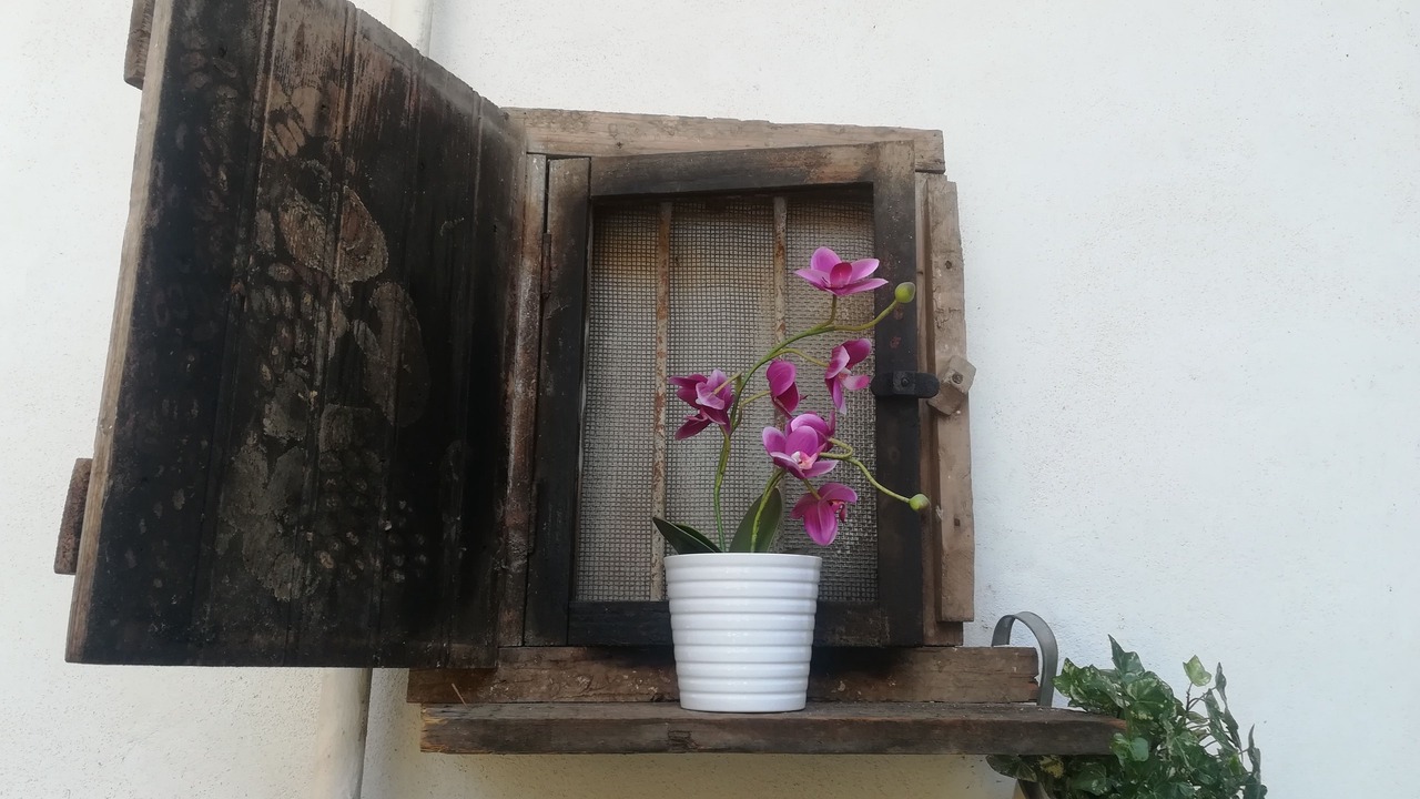 Photo of Outdoor in Carugate