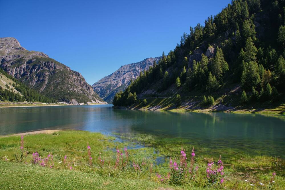 Photo of Others in Livigno