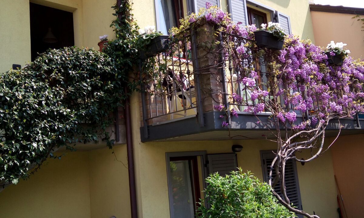 Photo of Outdoor in Lecco
