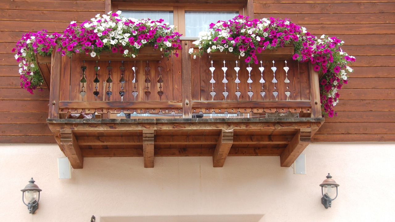 Photo of Outdoor in Livigno