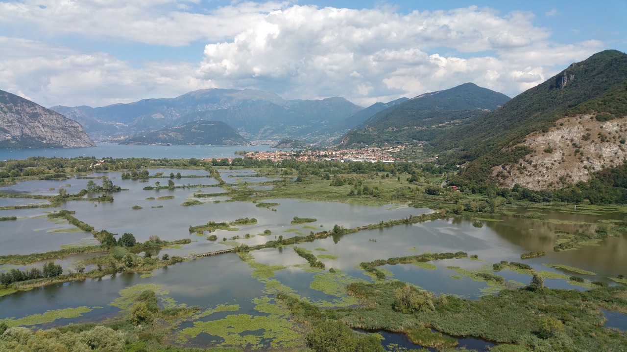 Photo of Others in Paratico