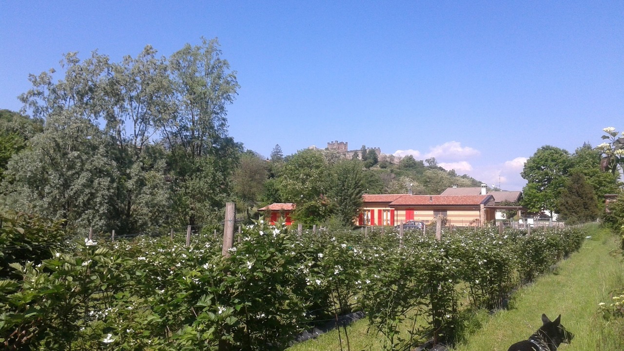 Photo of Outdoor in Paratico
