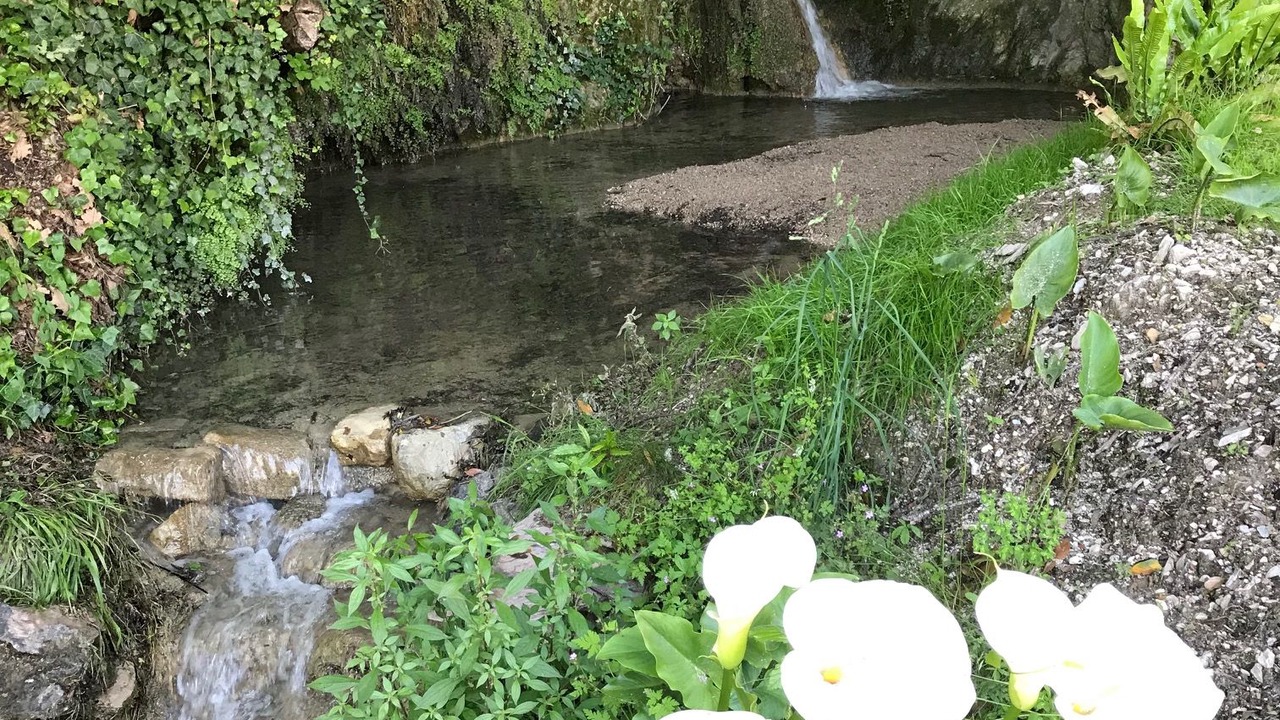 Photo of Outdoor in Roina