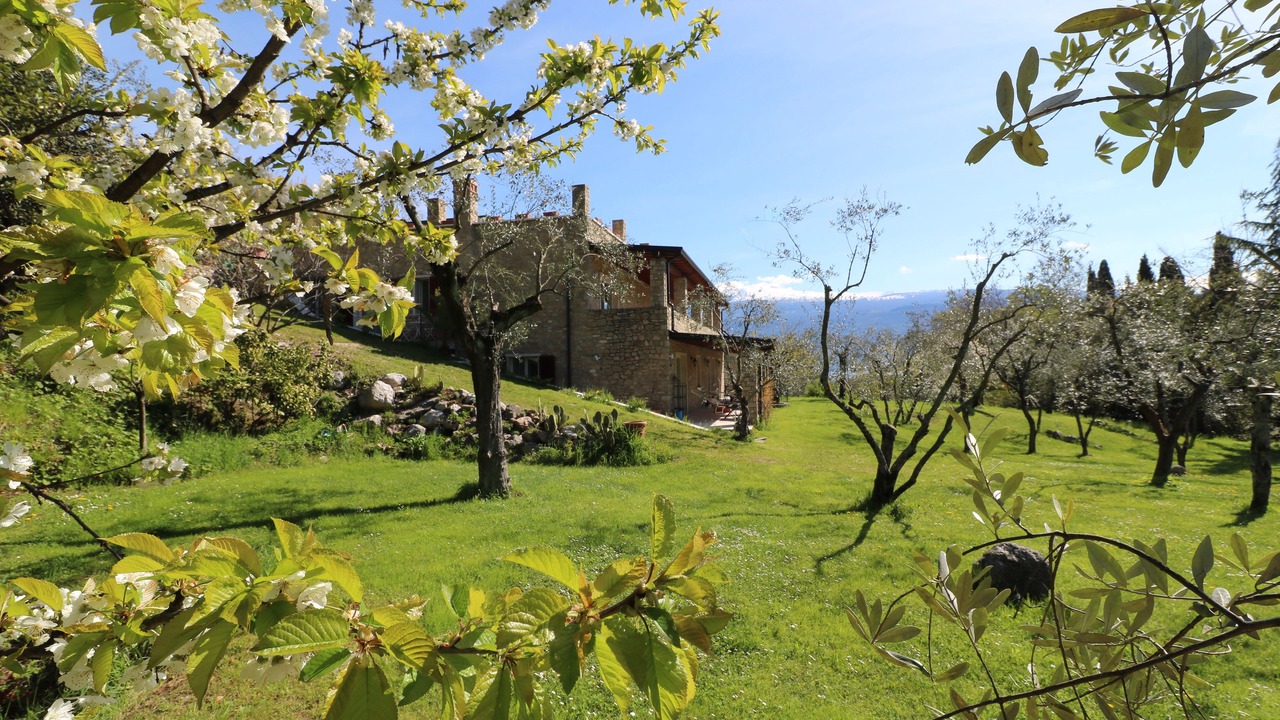 Photo of Outdoor in Roina