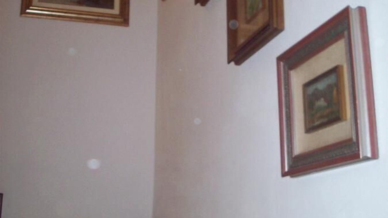 Photo of Others in Curtatone