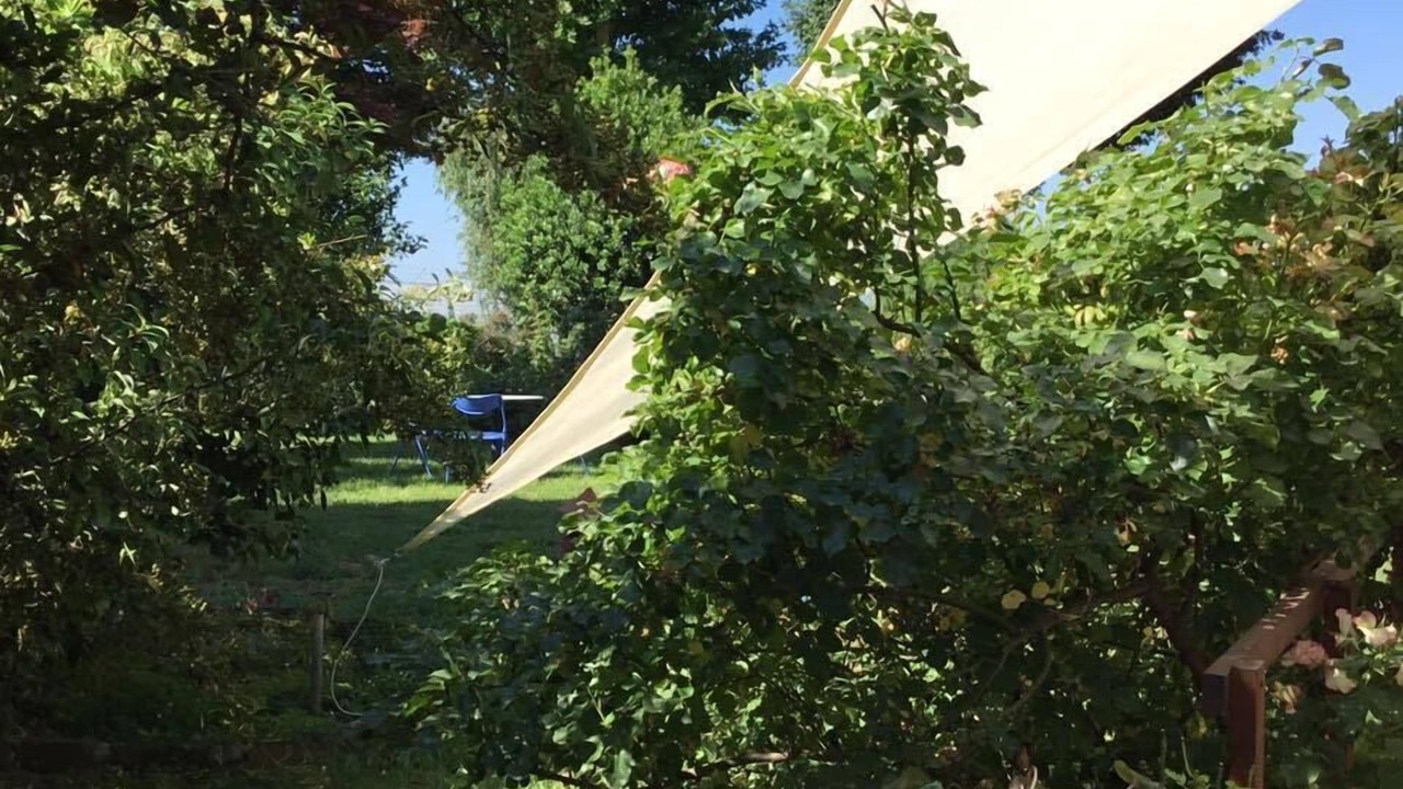 Photo of Outdoor in Abbiategrasso