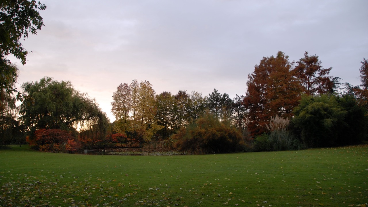Photo of Outdoor in Mediglia