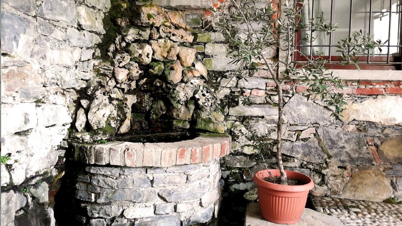 Photo of Outdoor in Moltrasio
