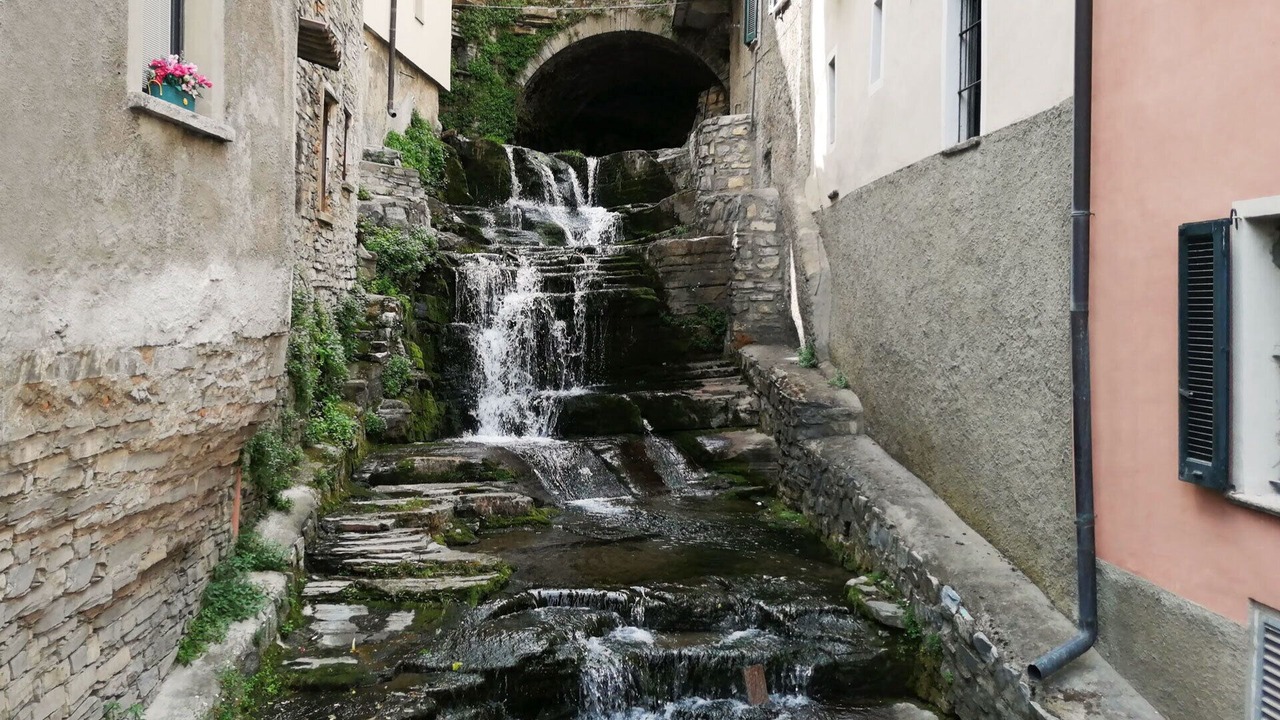 Photo of Outdoor in Moltrasio