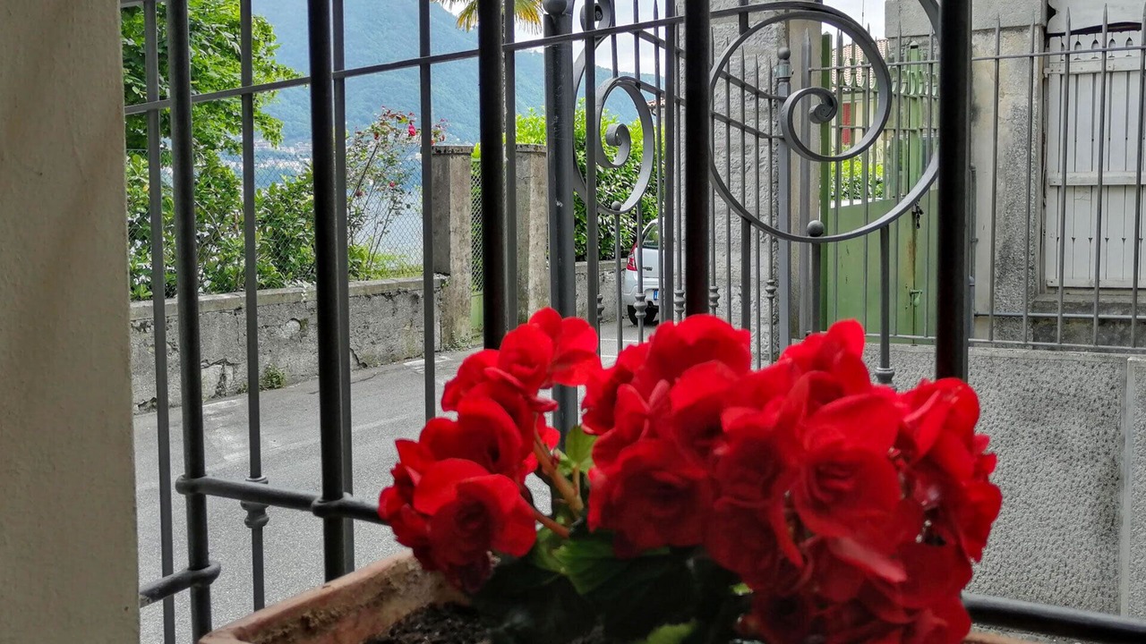 Photo of Others in Moltrasio
