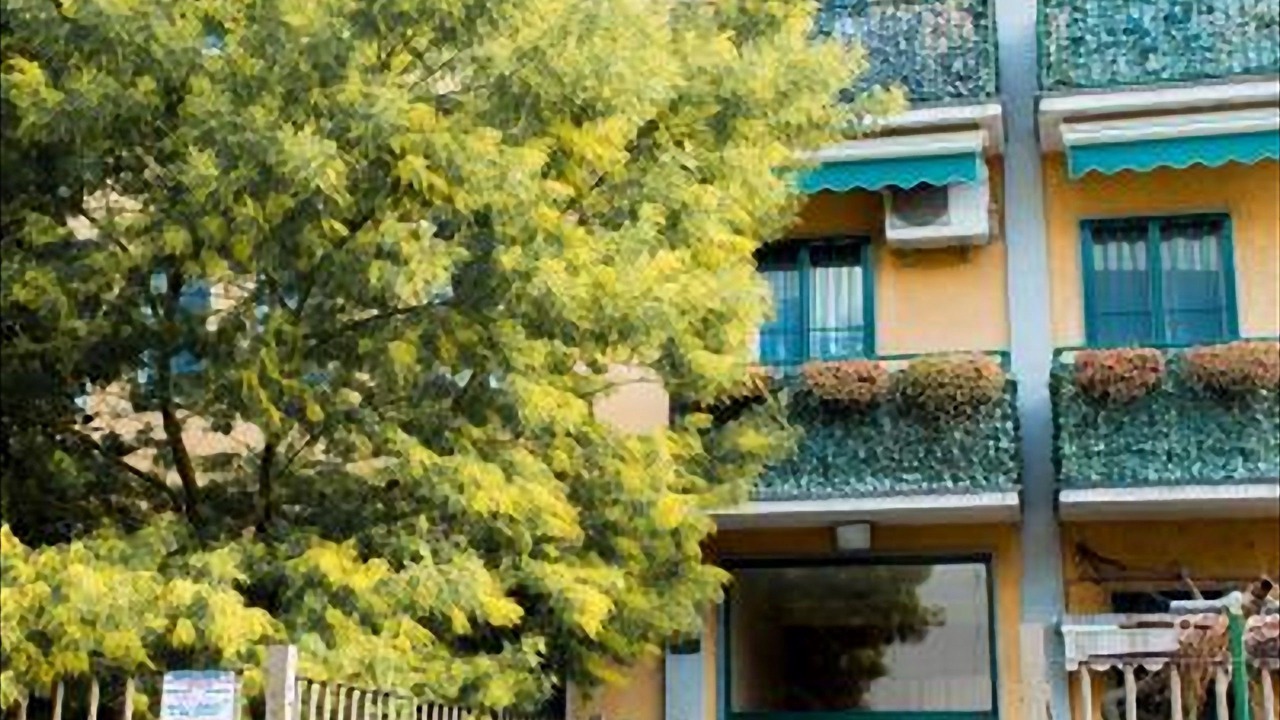 Photo of Outdoor in Montalbino