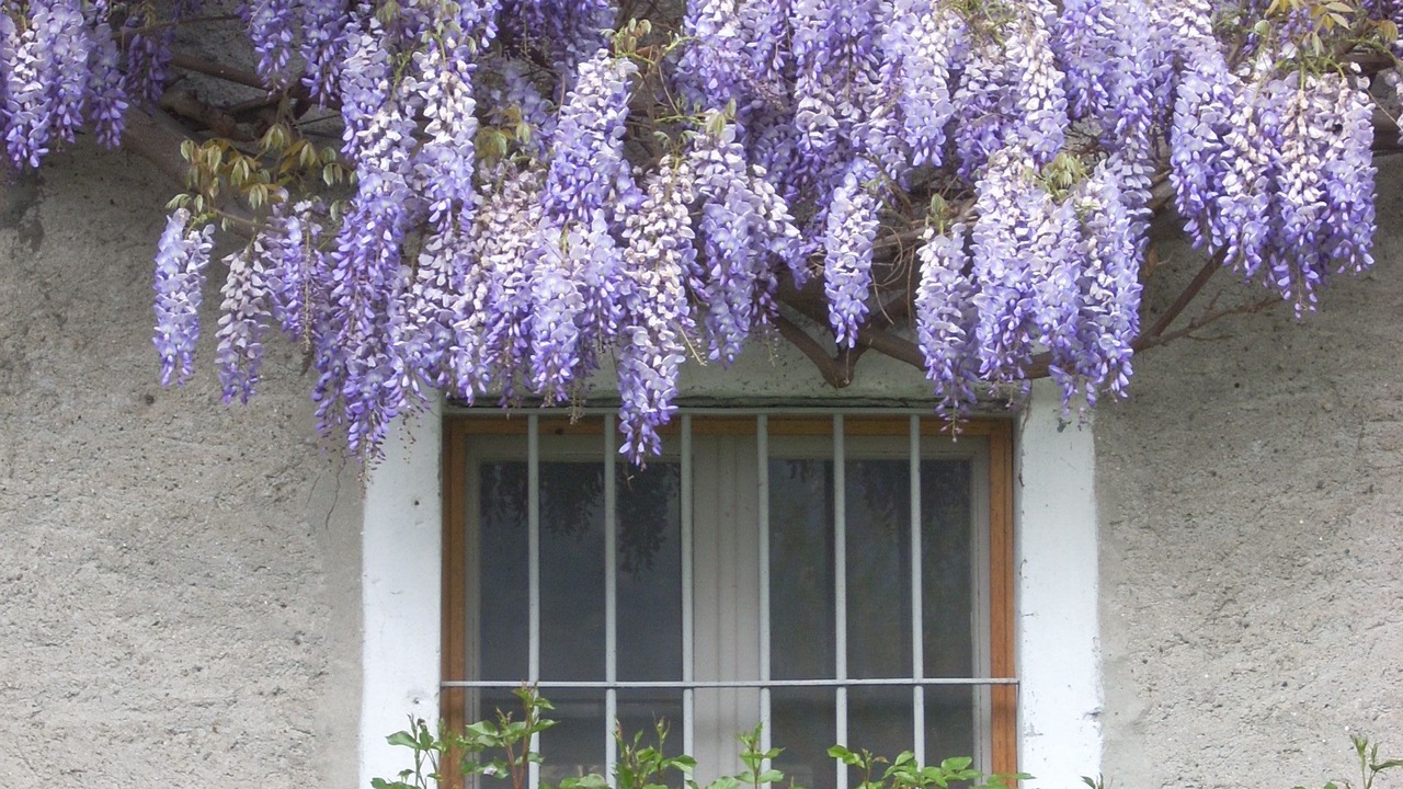 Photo of Outdoor in Piantedo