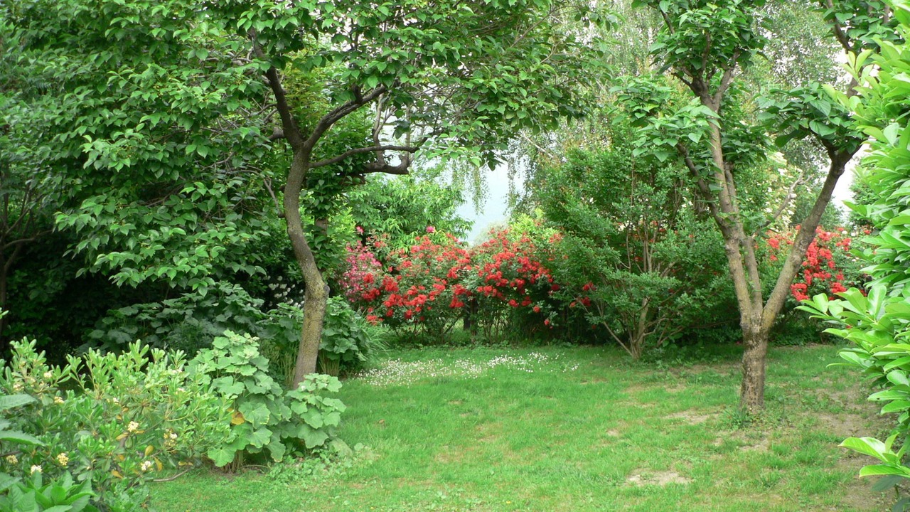 Photo of Outdoor in Piantedo