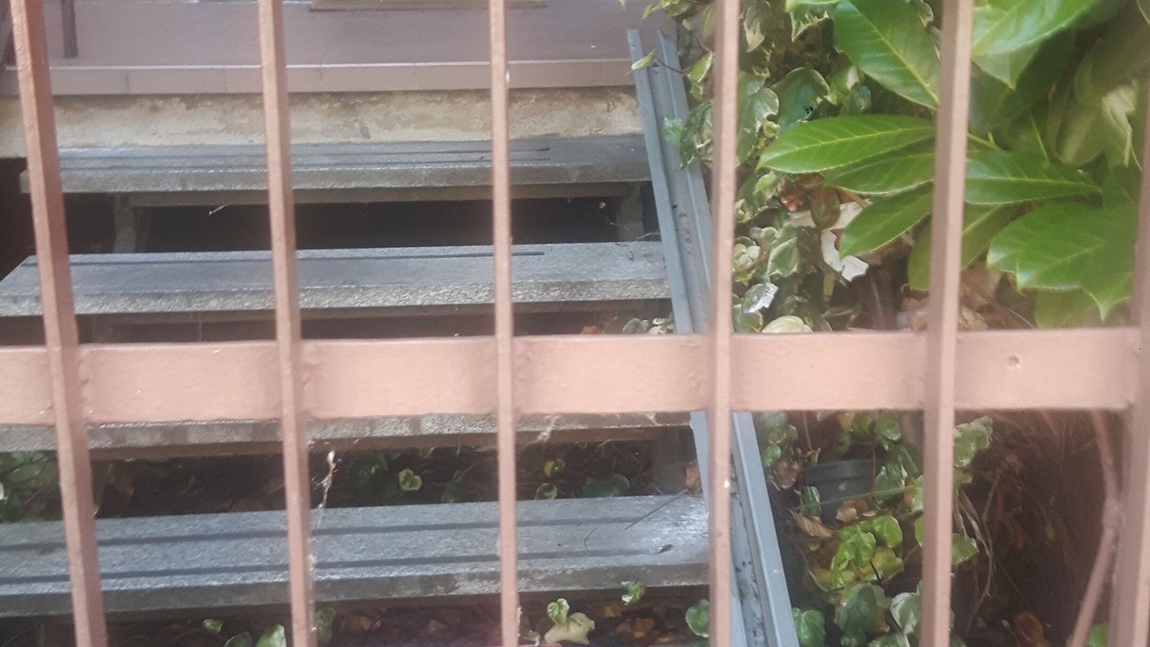 Photo of Outdoor in Castano Primo