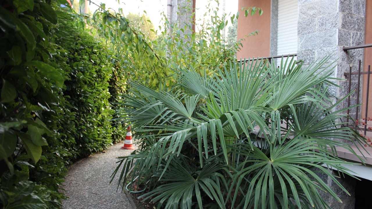 Photo of Outdoor in Castano Primo
