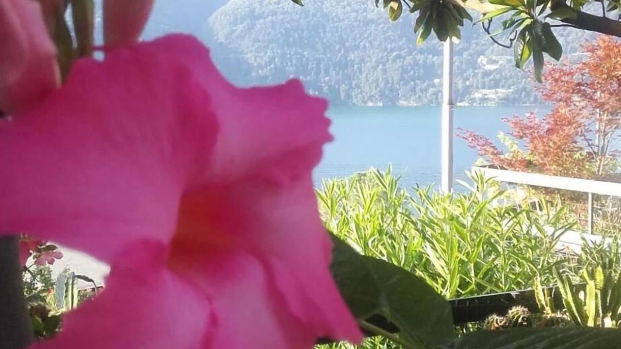 Photo of Outdoor in Laglio