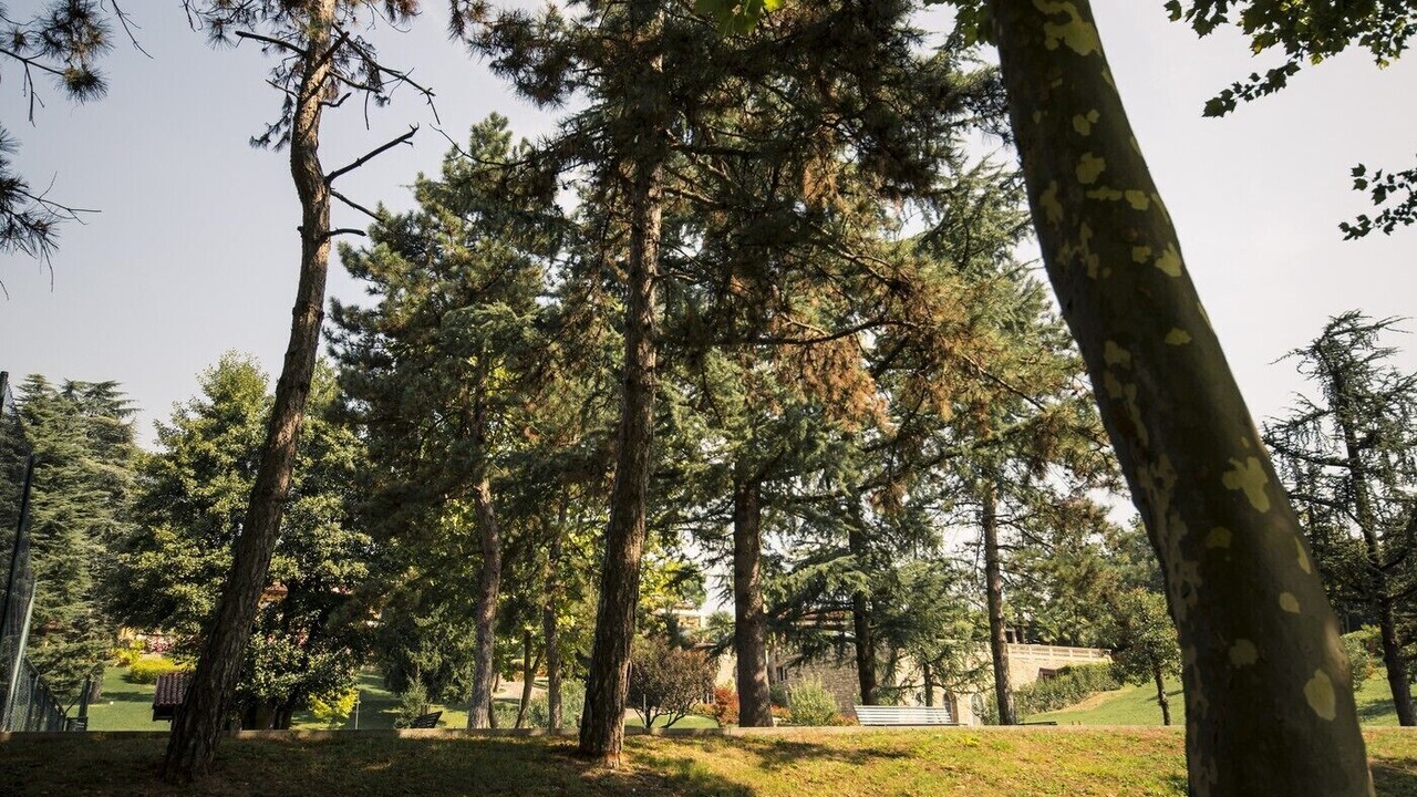 Photo of Outdoor in Brusaporto