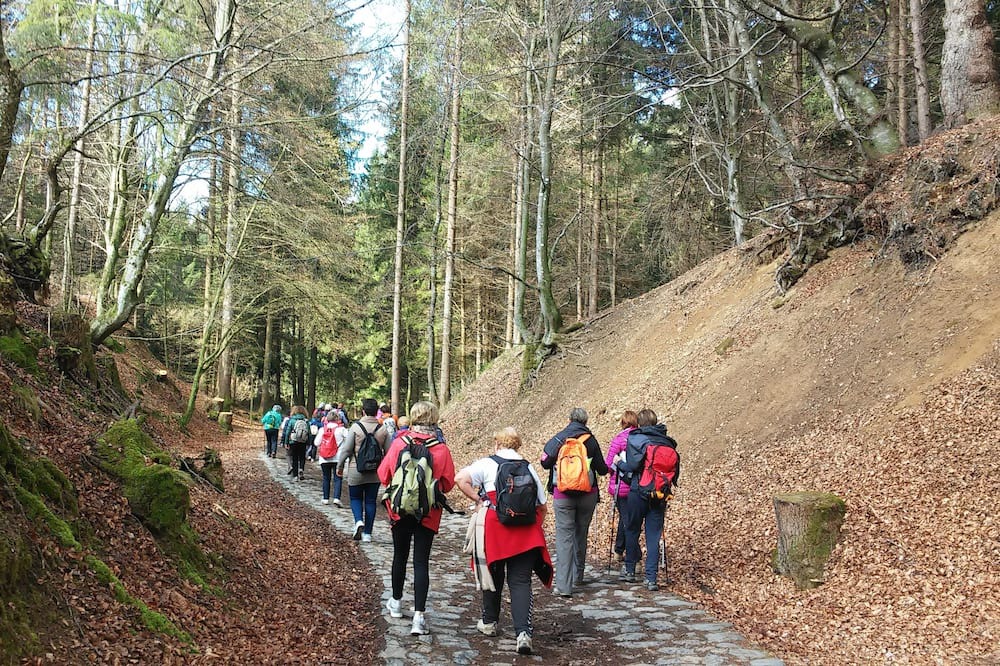 Photo of Others in Bossico