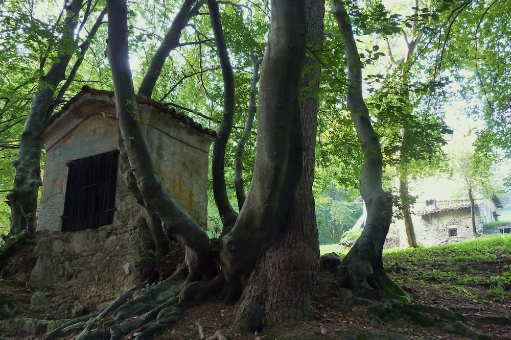 Photo of Outdoor in Bossico