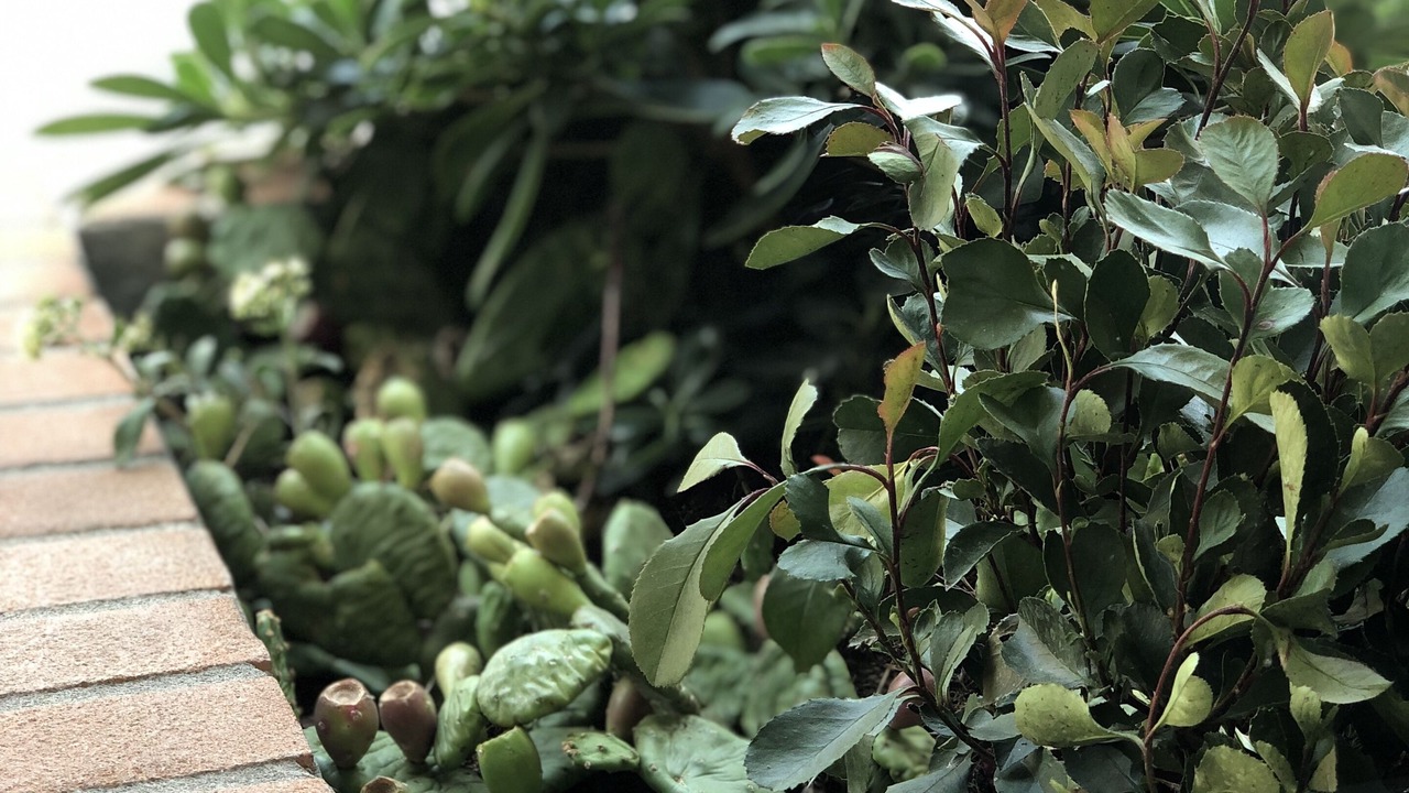 Photo of Outdoor in Cornaredo