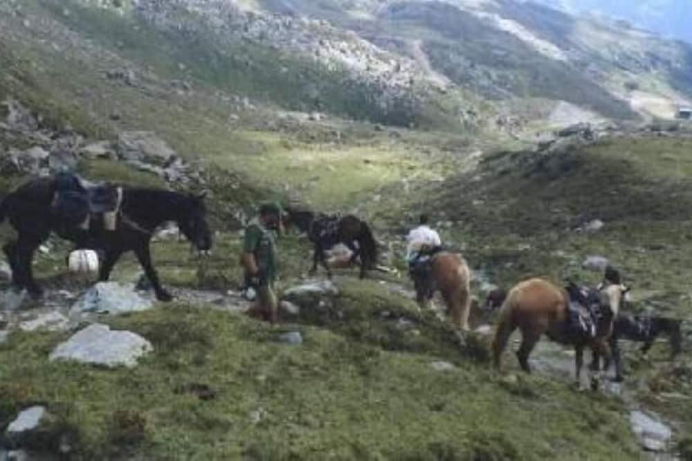 Photo of Others in Carona