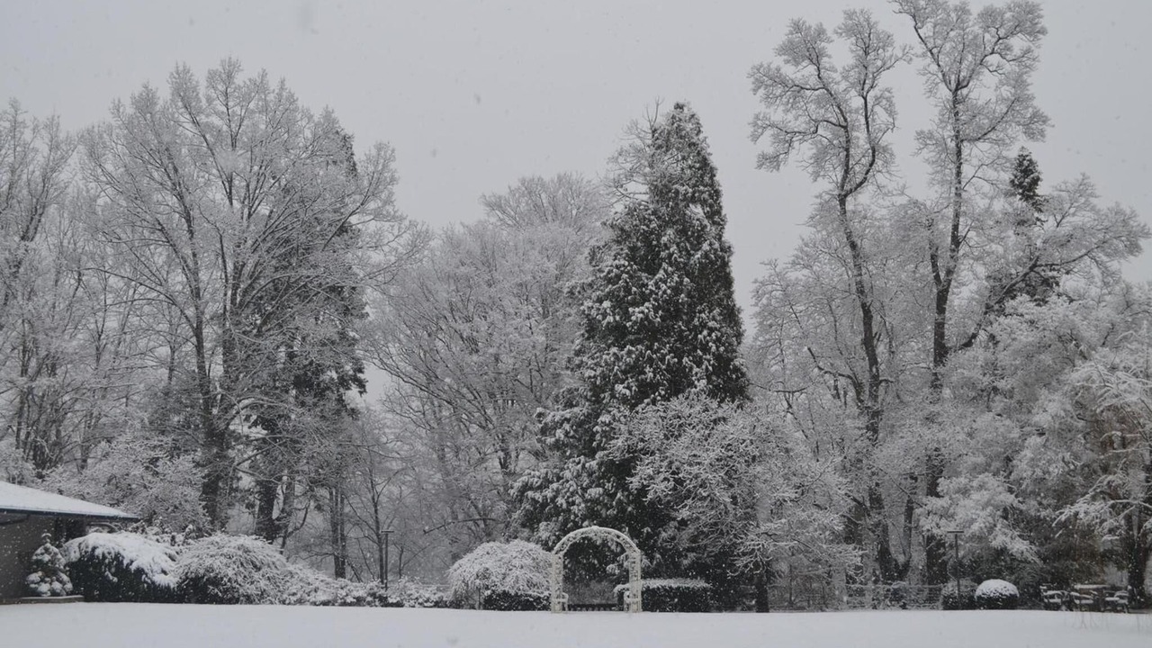 Photo of Outdoor in Abbiate Guazzone