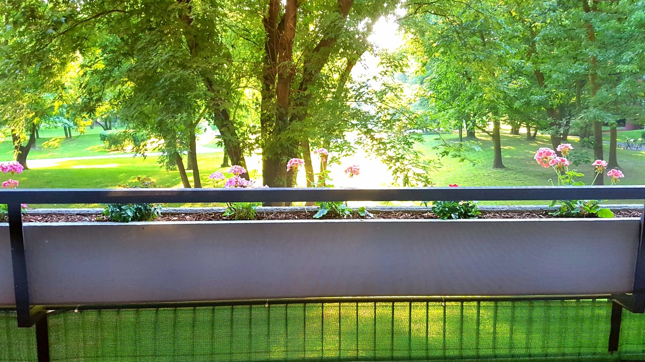 Photo of Patio Balcony in Milano 3