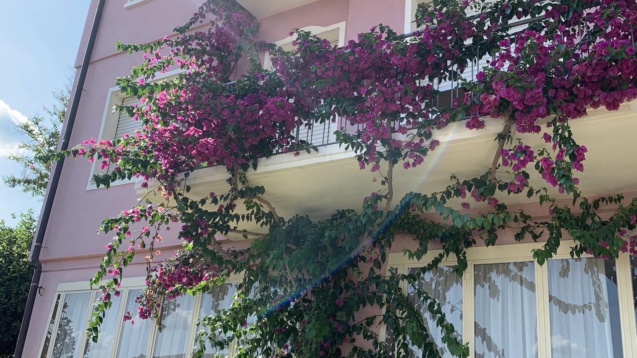 Photo of Outdoor in Salo