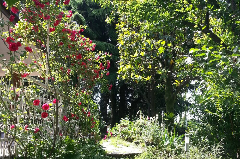 Photo of Outdoor in Arluno