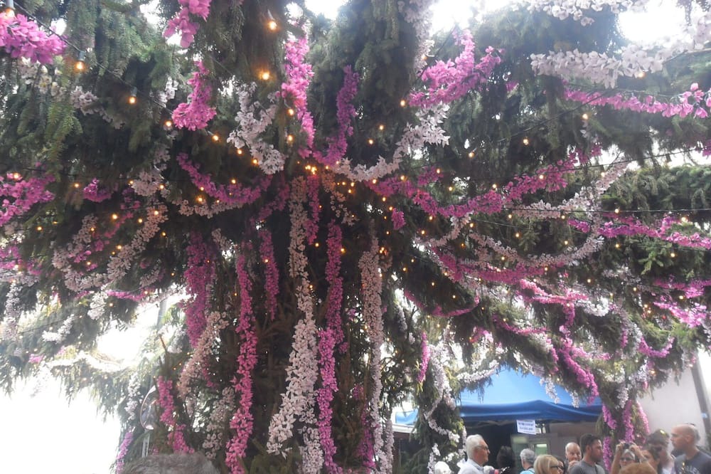 Photo of Outdoor in Zorzino