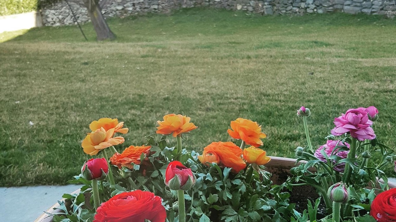 Photo of Outdoor in Colico
