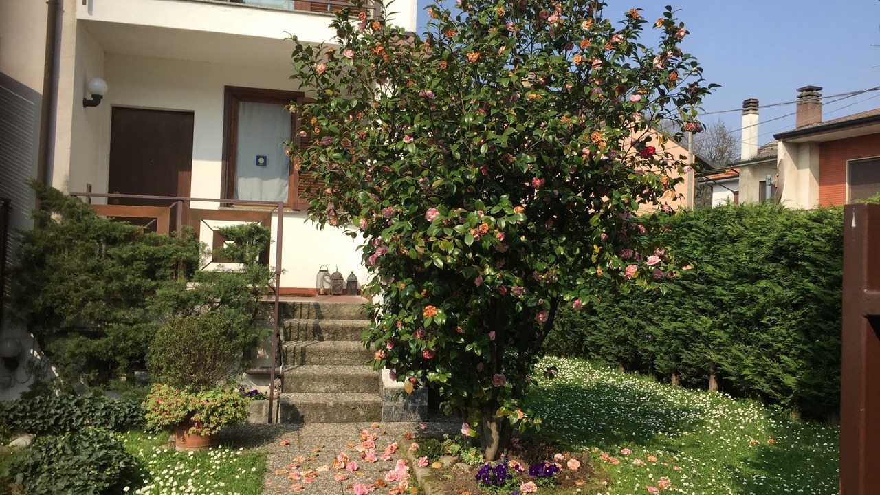 Photo of Outdoor in Ornago