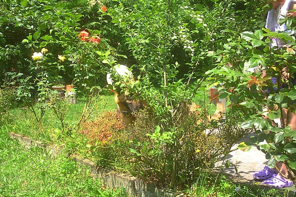 Photo of Outdoor in Gaggiolo