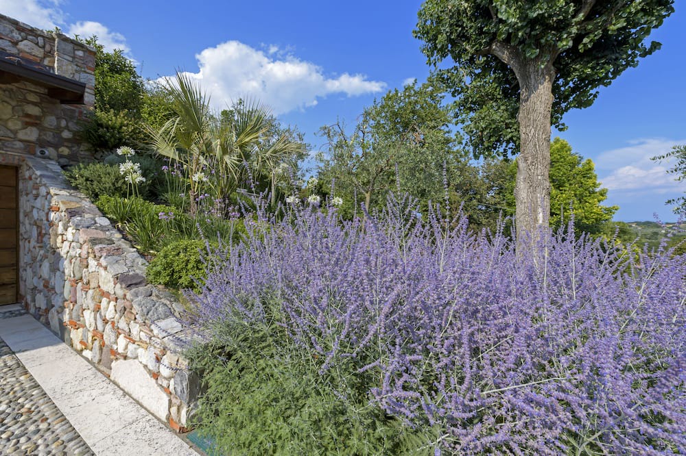 Photo of Outdoor in Cunettone-villa