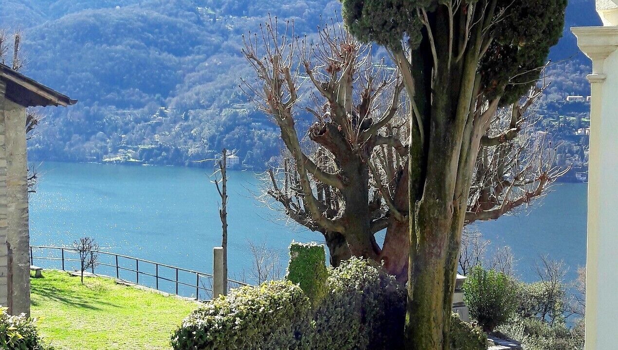 Photo of Outdoor in Moltrasio