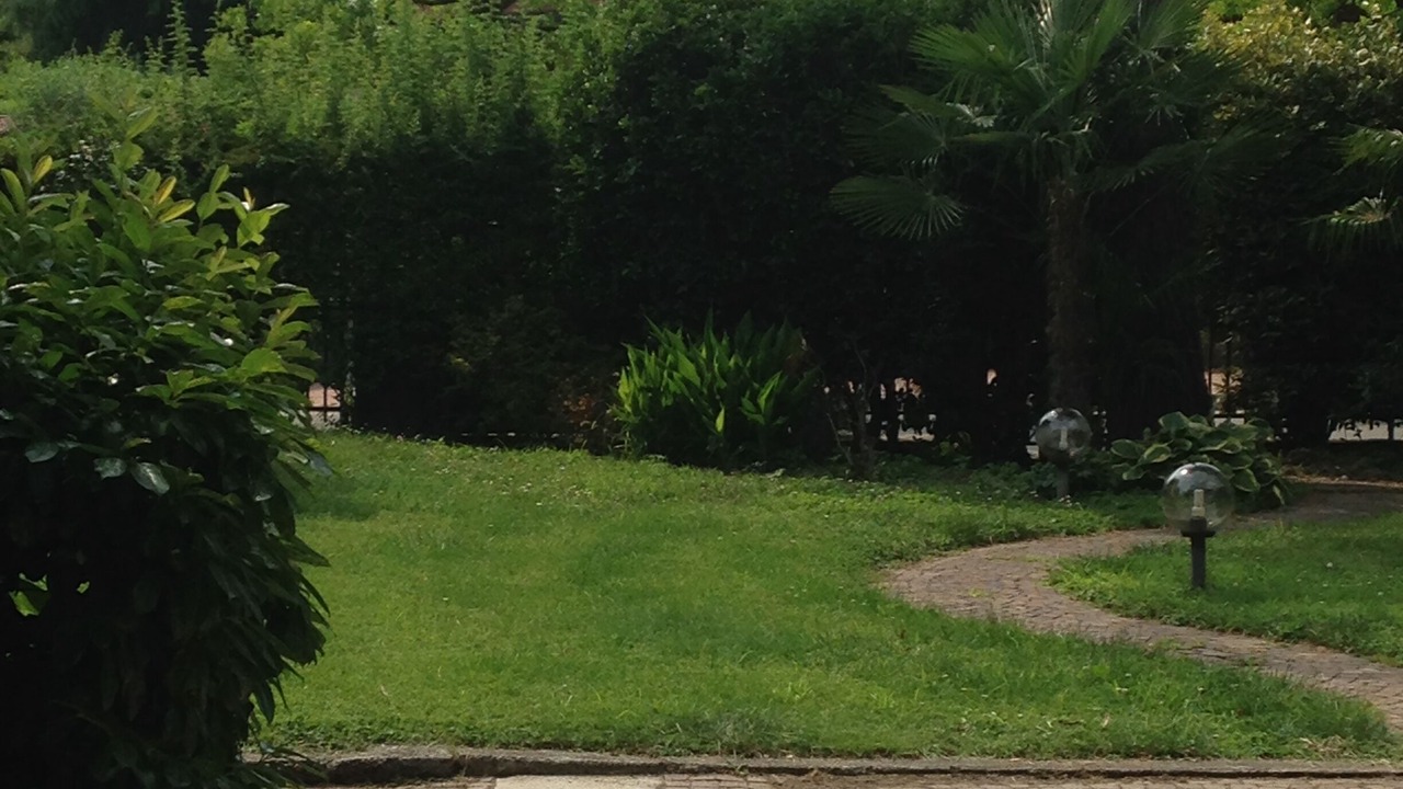 Photo of Outdoor in Carnate