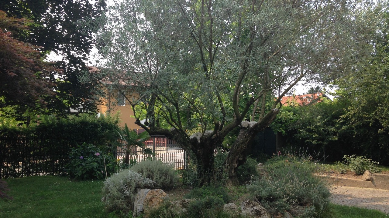 Photo of Outdoor in Carnate