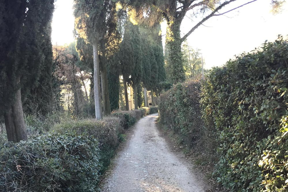 Photo of Outdoor in Bogliaco