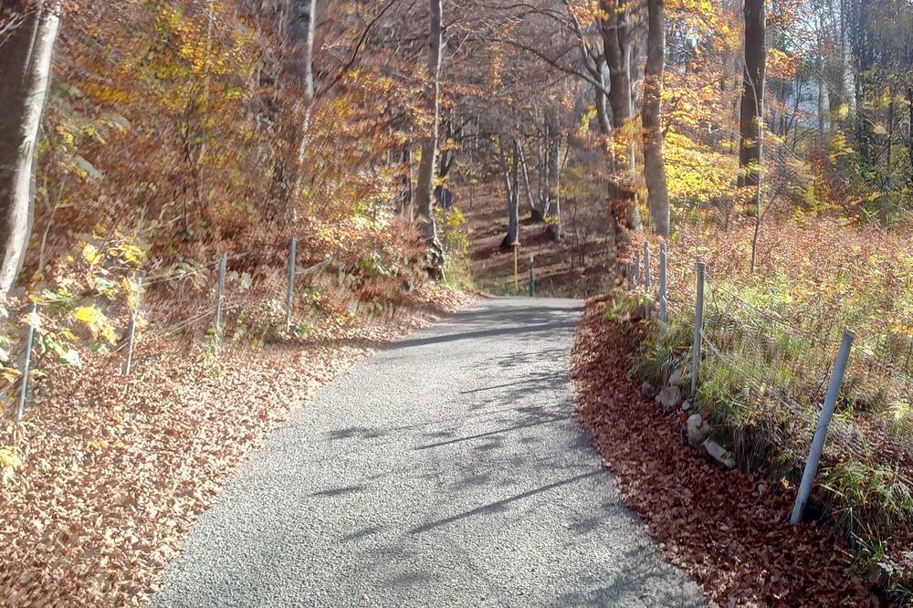 Photo of Outdoor in Crebbio