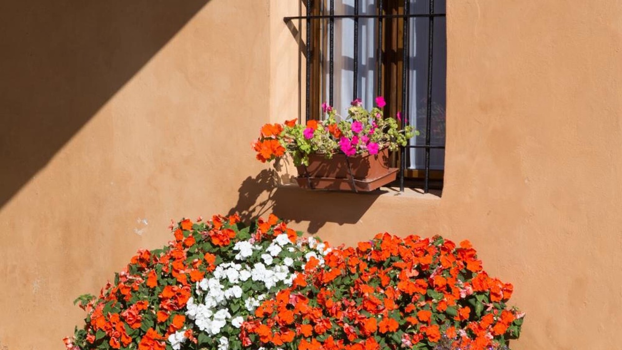 Photo of Outdoor in Cremona