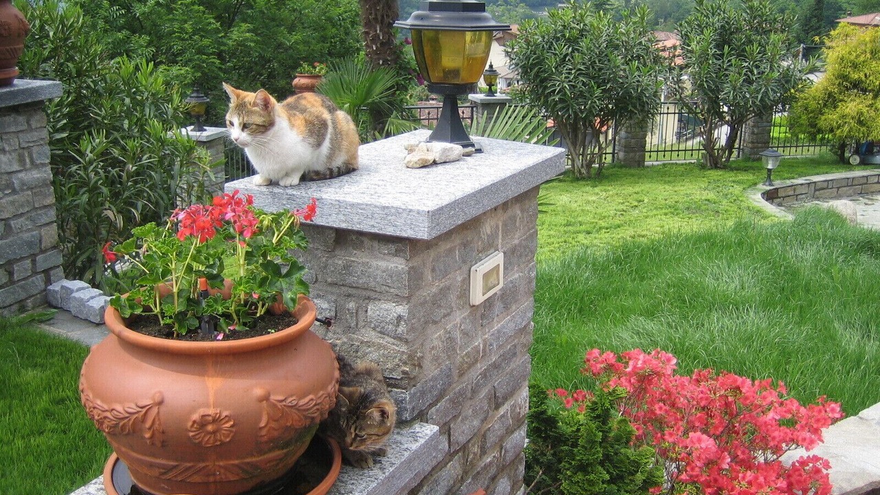 Photo of Outdoor in San Mamete