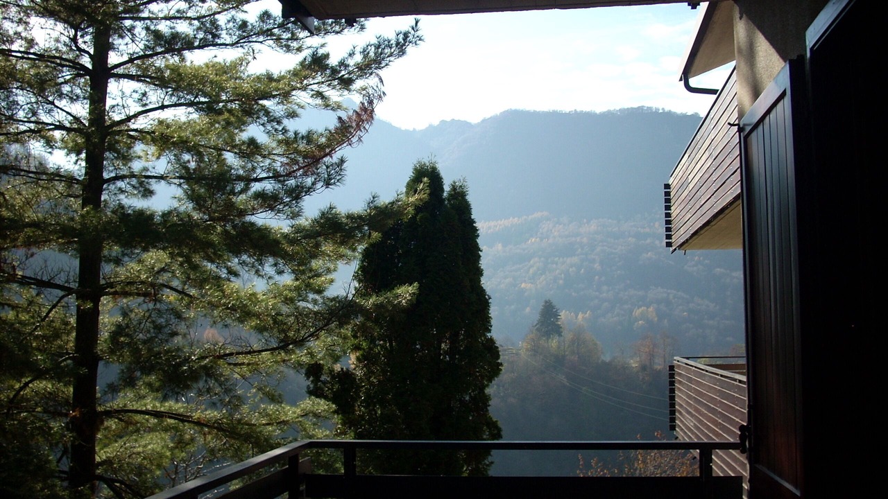 Photo of Outdoor in Moggio