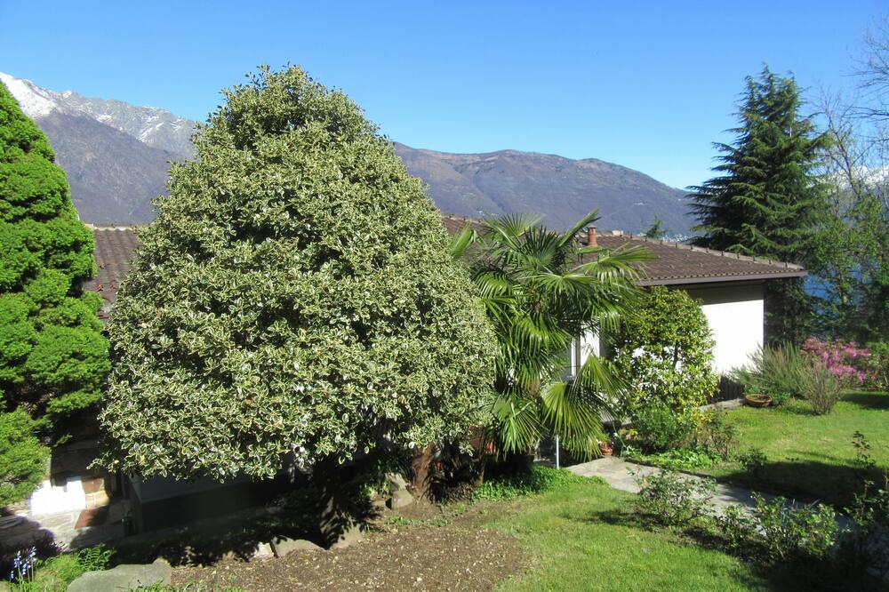 Photo of Outdoor in Tronzano Lago Maggiore