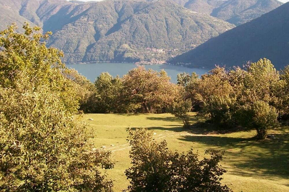 Photo of Others in Albogasio
