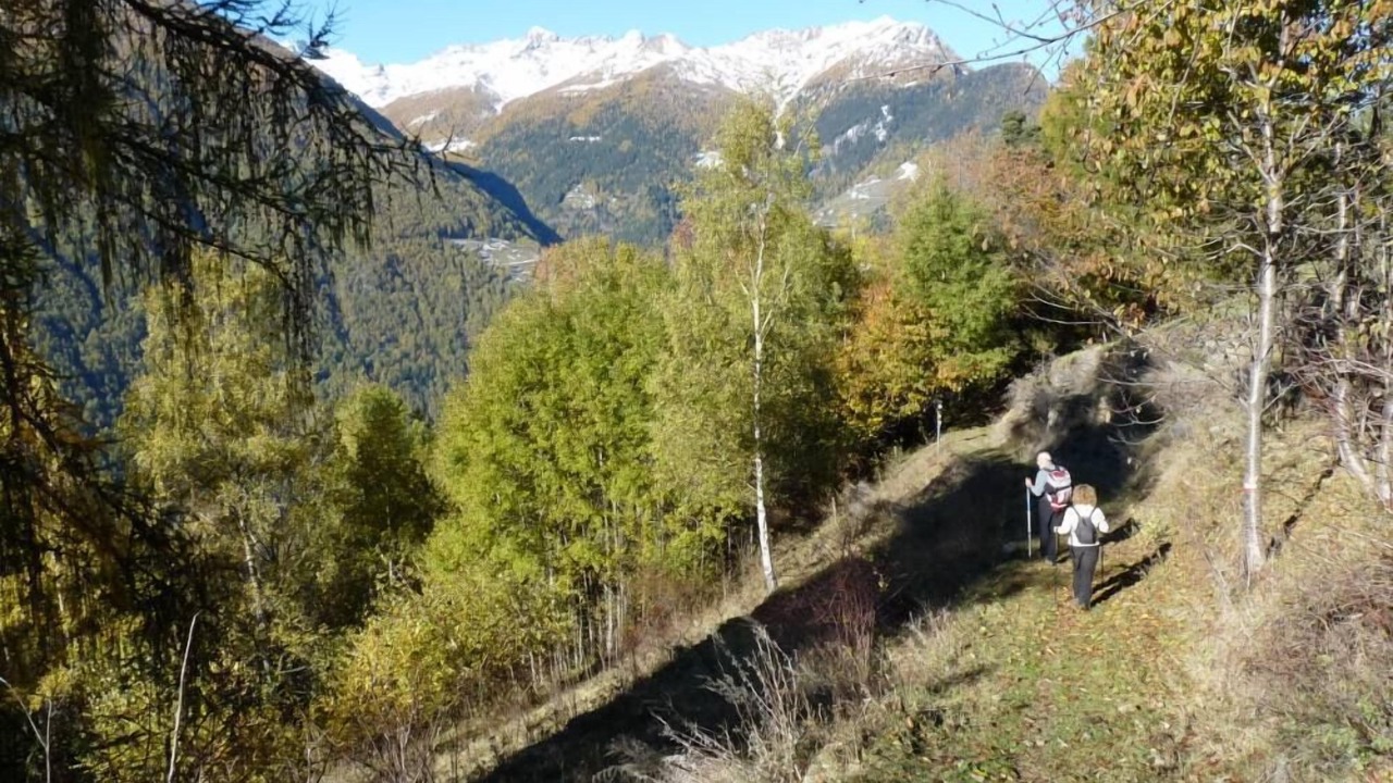 Photo of Outdoor in Madonna di Tirano