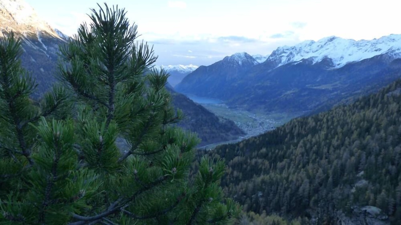 Photo of Others in Madonna di Tirano