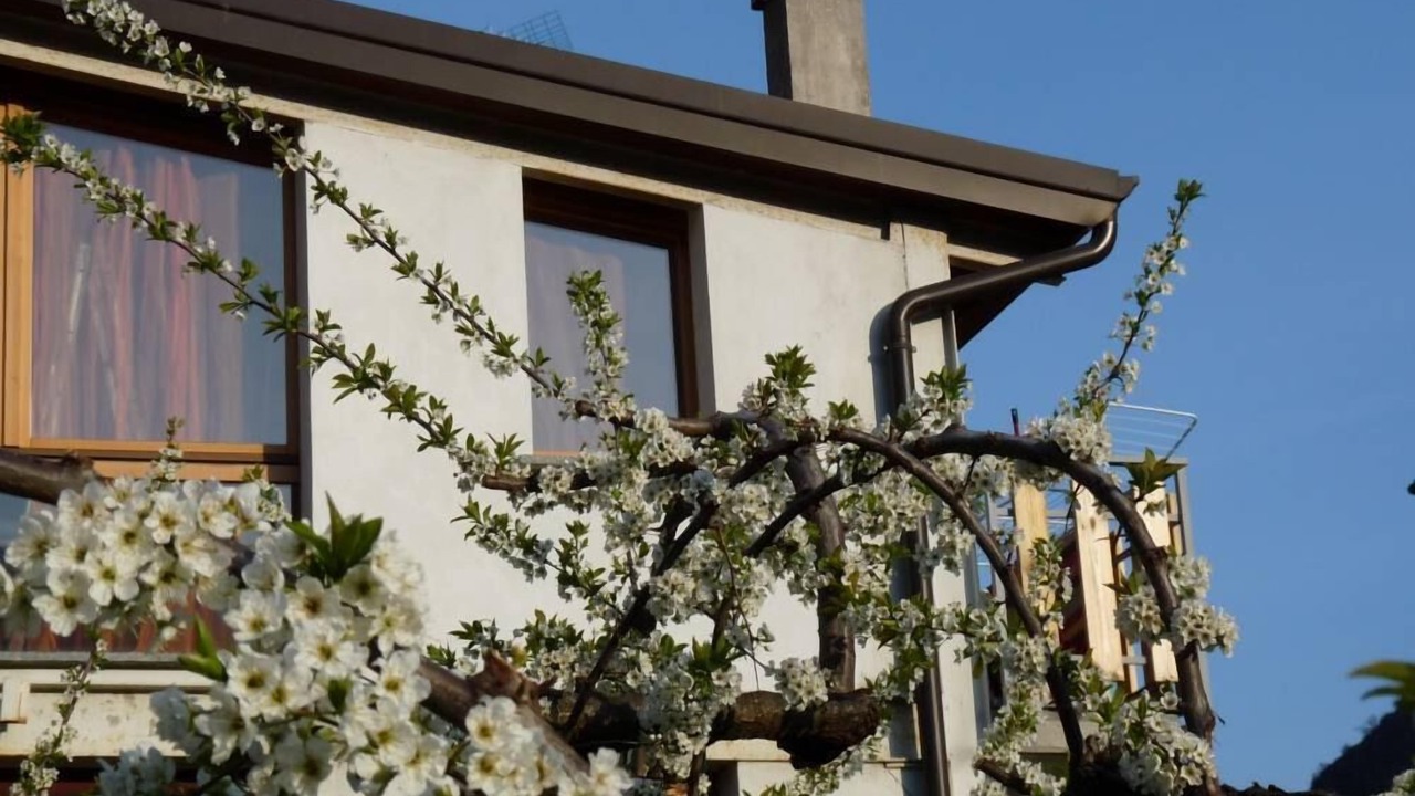 Photo of Outdoor in Madonna di Tirano