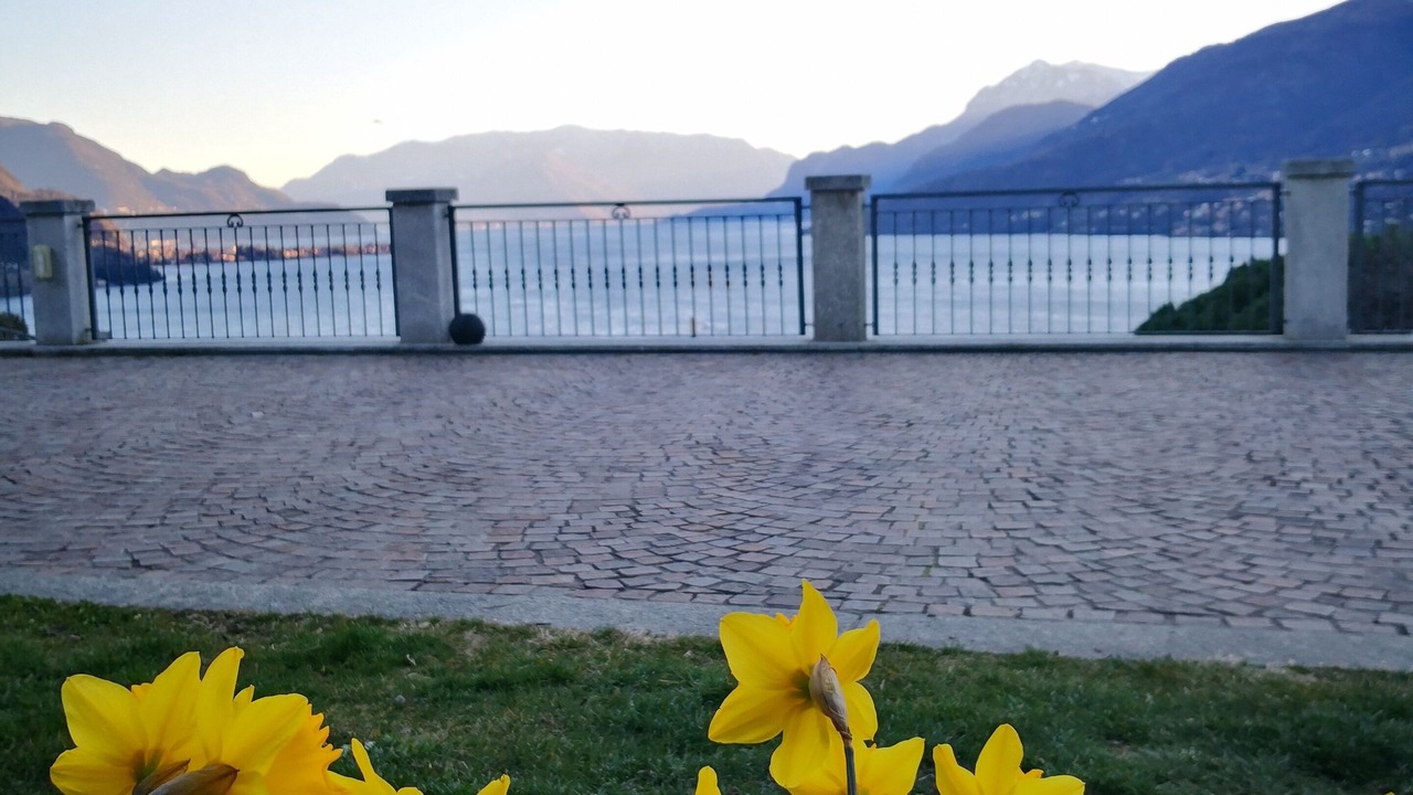 Photo of Outdoor in Olgiasca
