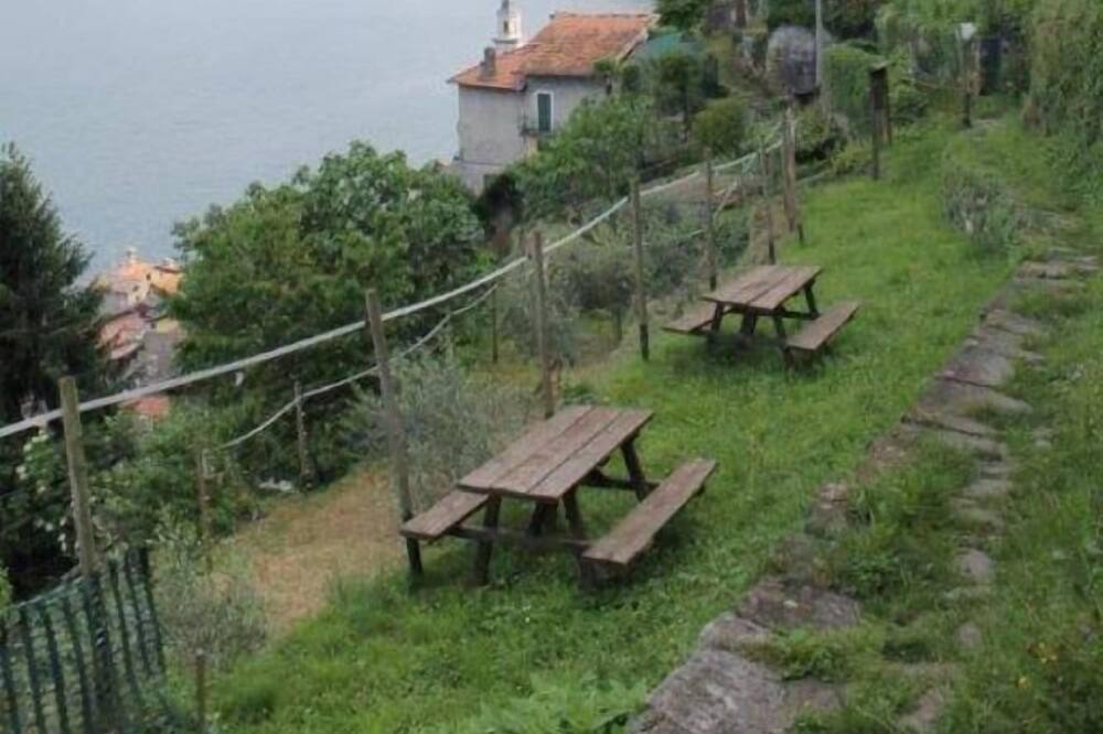 Photo of Outdoor in Brienno