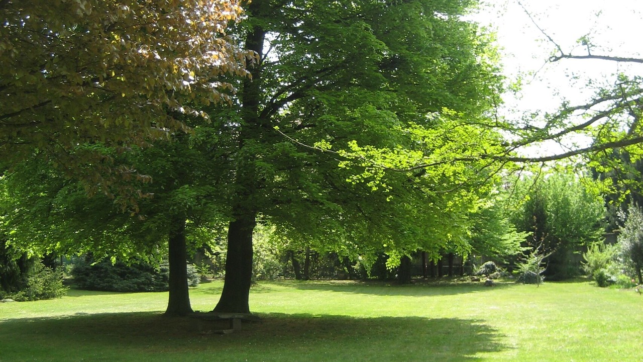 Photo of Others in Albiolo